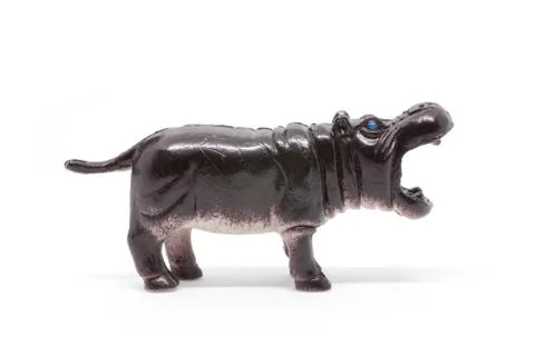 Hippo model isolated on white background, animal toys plastic Stock Photos