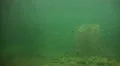 Hippo shadow underwater in dirty water HD Footage