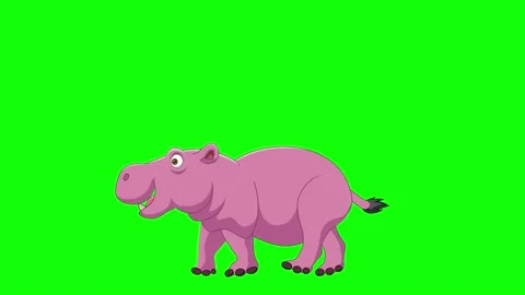 Hippo Walk animation Stock Footage 201278512