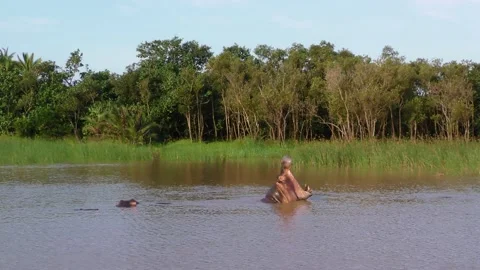Hippo Yawning Stock Footage 136757279