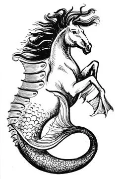 Hippocampus drawing Illustrazione stock