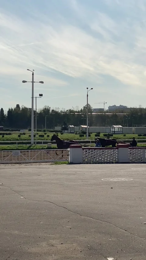Hippodrome horse training Stock Footage 142665567