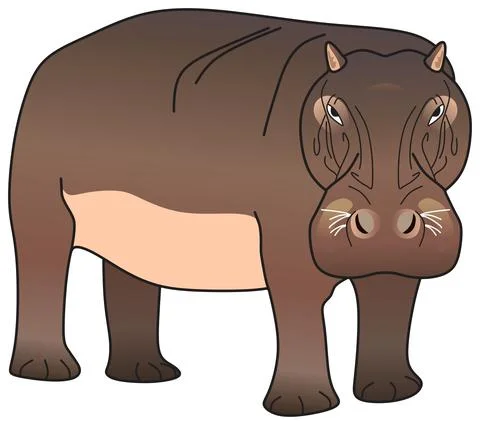 Hippopotamus amphibious vector drawing isolated background herbivorous animal Stock Illustration