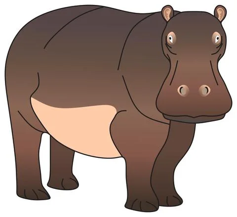 Hippopotamus amphibious vector drawing isolated background herbivorous animal Stock Illustration