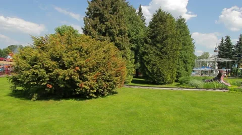 Hippopotamus Vídeos de archivo 37260157