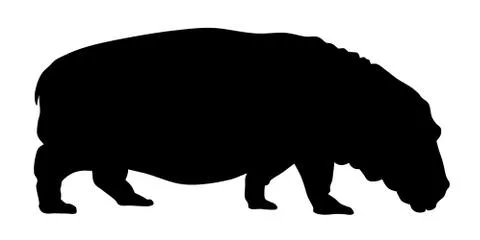 Hippopotamus Stock Illustration