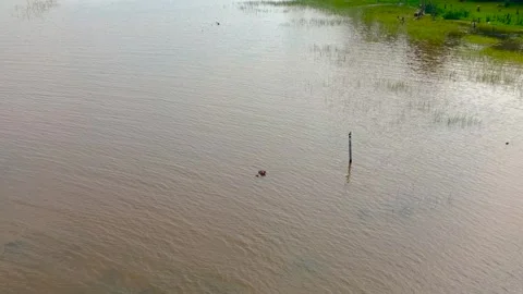 HIPPOPOTAMUS IN THE RIVER Stock Footage 273118981