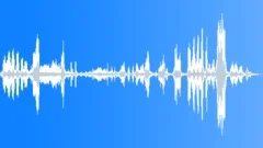 HIPPOPOTAMUS Sound Effect