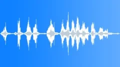 Hippopotamus vocalization 02 Sound Effect