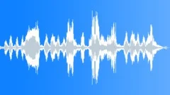 Hippopotamus vocalization Sound Effect