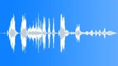 Hippopotamus vocalization Sound Effect