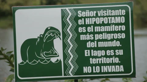 HIPPOPOTAMUS ZONE # 2 Stock Footage 29895033