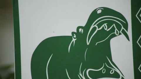 HIPPOPOTAMUS ZONE Stock Footage 28030393