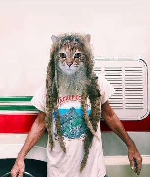 Hippy Cat Stock Photos