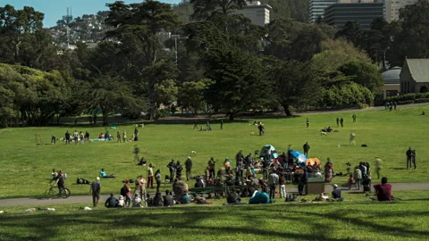 Hippy Hill Drum Circle, San Francisco, Golden Gate Park, Timelapse 8k Stock Footage 193750039