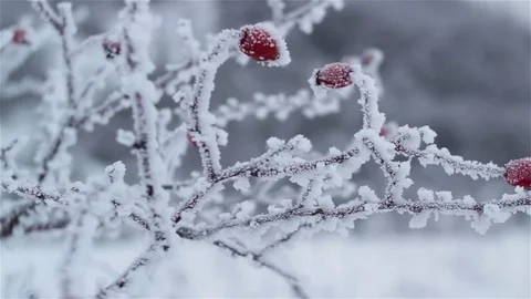 Hips in the winter Vídeos de archivo 83499560