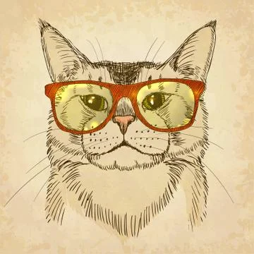 Hipster cat with sunglasses. Vector illustration. Stock Illustration