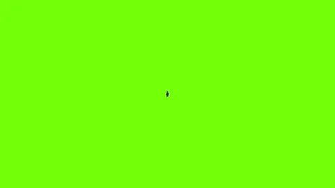 Hipster feather icon animation Stock Footage 158333195