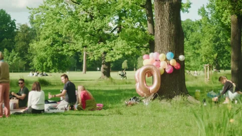 Hipster friends having birthday party in a park at summer Stock Footage