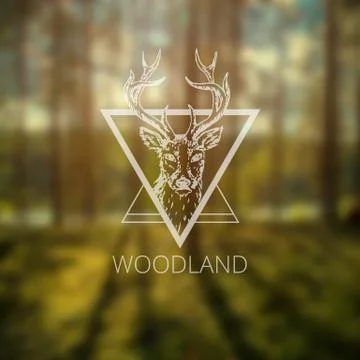 Hipster logo with deer Stock Illustration