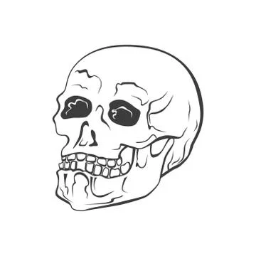 Hipster skull vector illustration. Hand Drawn symbol Stock Illustration