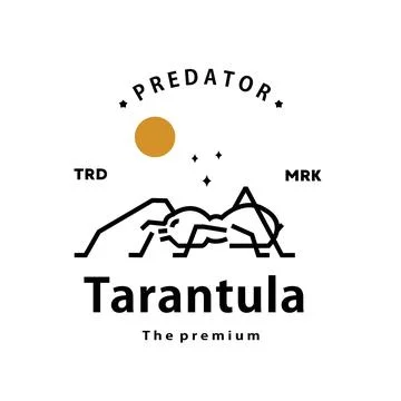 Hipster tarantula logo vector outline monoline art icon Stock Illustration