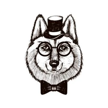 Hipster Wolf Muzzle Wearing Top Hat and Bowtie Vector Hand Drawn Illustration Stock Illustration
