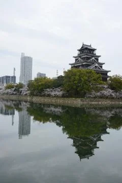 Hiroshima sakura Stock Photos