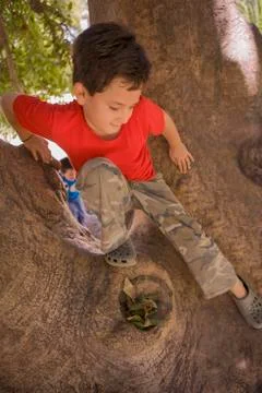 Hispanic boy climbing in tree Stock Photos