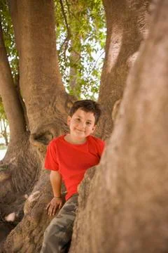 Hispanic boy climbing in tree Stock Photos