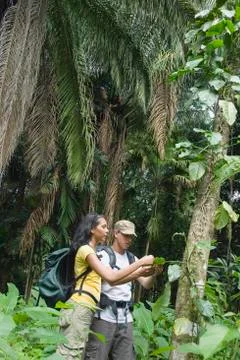 Hispanic couple exploring jungle Fotos Stock
