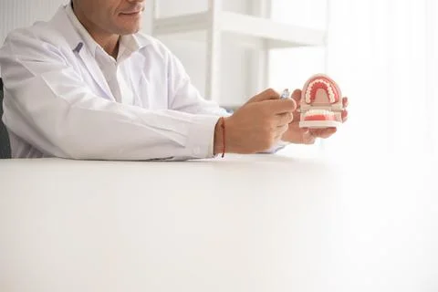 Hispanic dentist explaining to patient about teeth and how to brush with de.. Stock Photos