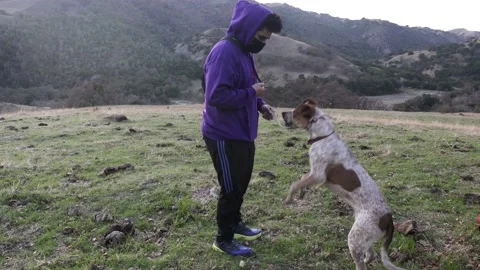 Hispanic Dog Trainer with Face Mask Gives Dog a Treat in Park Stock Footage 146165871