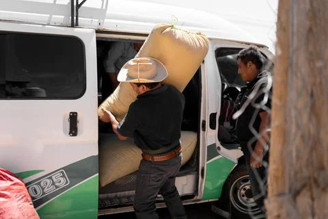 A Hispanic farmer is unloading a coffee sack from a van Stock-Fotos