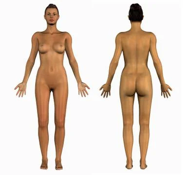 Hispanic Female Front &amp; Back Stock Illustration