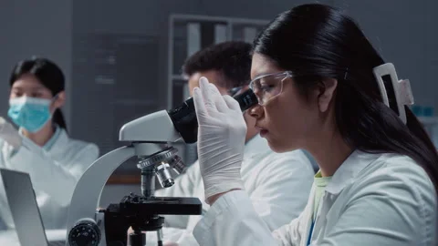 Hispanic Female Student Viewing Tissue Sample in Microscope at Lab Practice Stock Footage 312377174