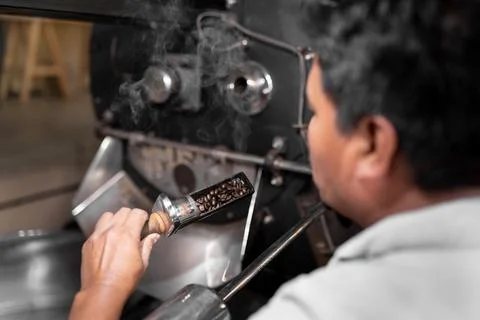 An Hispanic man is checking the beans roast from the coffee roaster machine Stock Photos