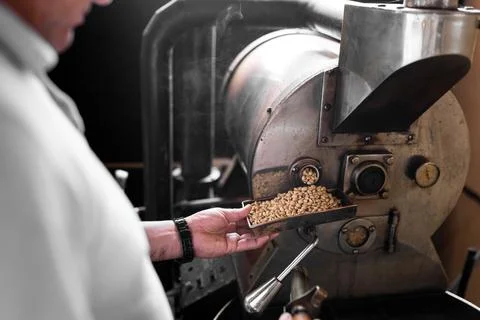 An Hispanic man is checking the beans roast from the coffee roaster machine Stock-Fotos