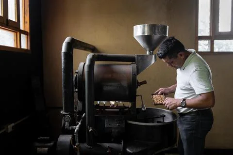 An Hispanic man is checking the beans roast from the coffee roaster machine Stock Photos