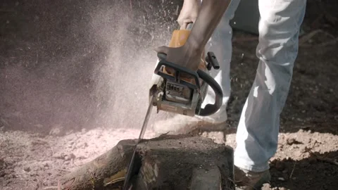Hispanic man cutting out stump slow motion shot Stock Footage 234362068