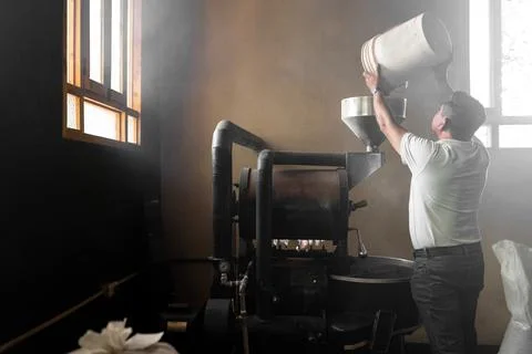 An Hispanic man is dropping coffee beans inside of the roaster machine Stock Photos