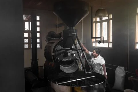 A Hispanic man is operating the lever of a coffee roaster machine Stock Photos
