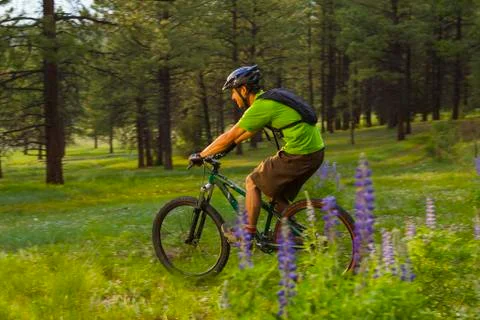 Hispanic man riding mountain bike in meadow Stock Photos