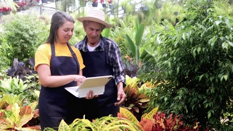 Hispanic multigenerational team using tablet at greenhouse during spring - Latin Stock Footage 329399474