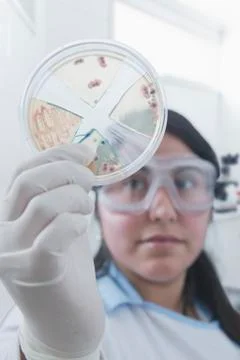 Hispanic scientist examining blood sample in laboratory Stock Photos