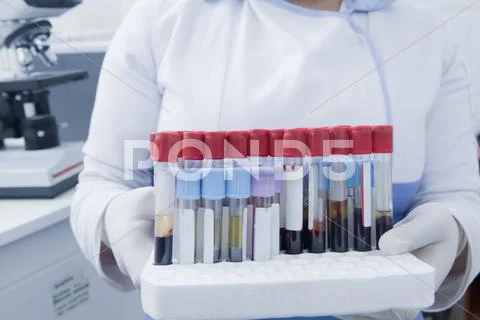 Hispanic Scientist Holding Blood Samples In Test Tube Rack In Laboratory