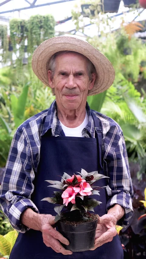 Hispanic senior man smiling front of camera while working in flower garden shop. Stock-Footage 331369393