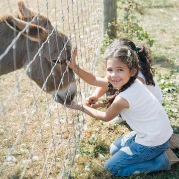 Hispanic sisters petting donkey Stock Photos