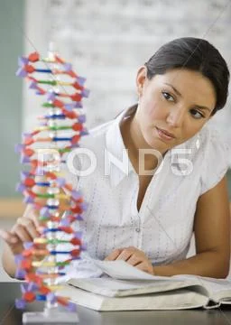Hispanic woman looking at DNA model Stock Photos