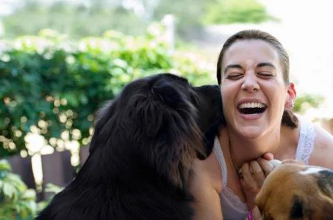 Hispanic woman playing with dogs Stock Photos